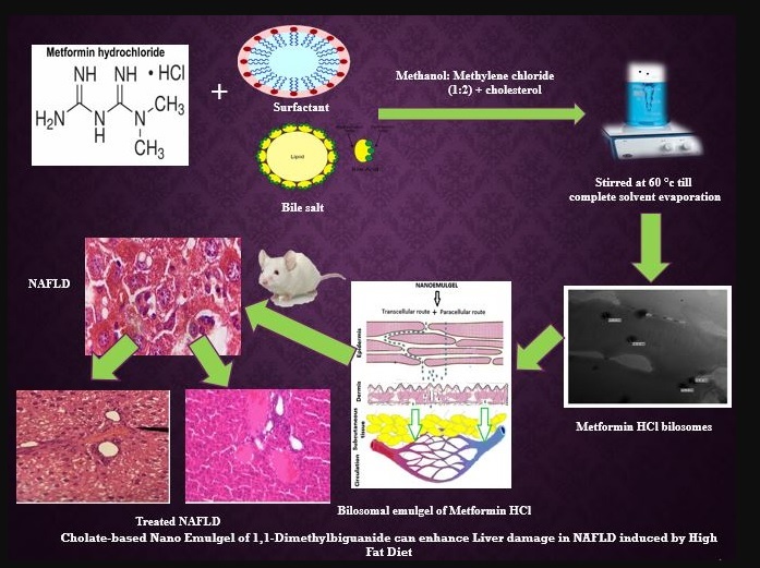 Graphical Abstract