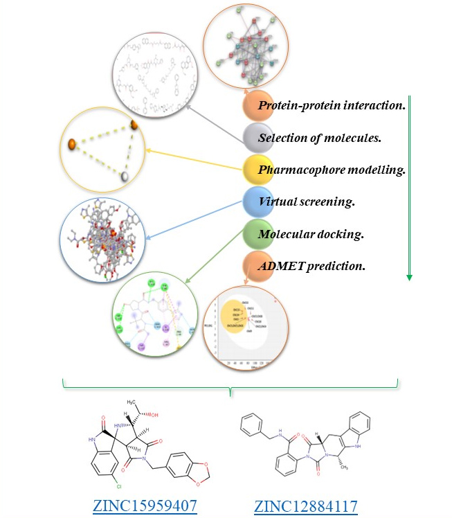 Graphical Abstract