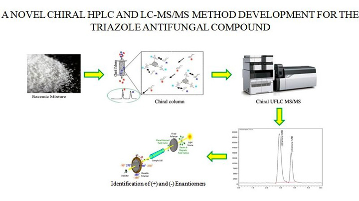 Graphical Abstract