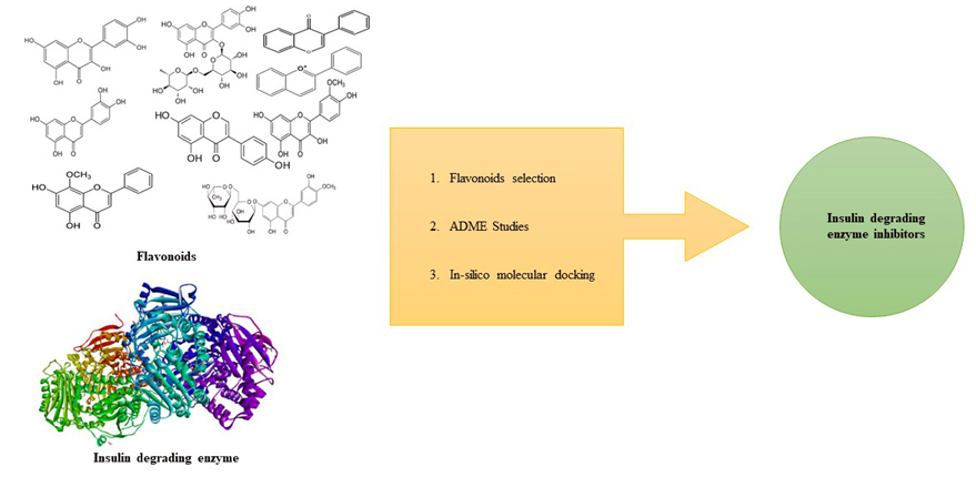 Graphical Abstract