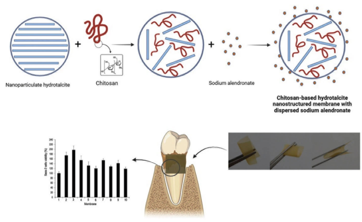 Graphical Abstract
