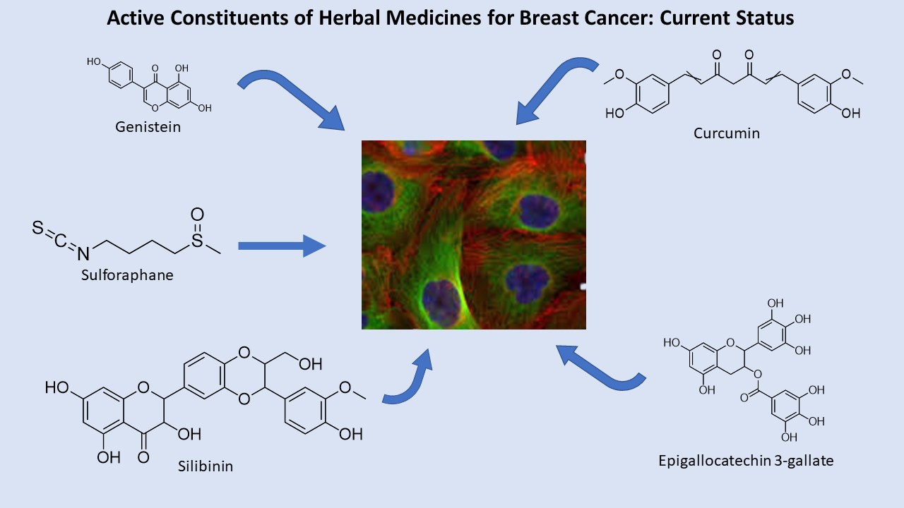 Graphical Abstract