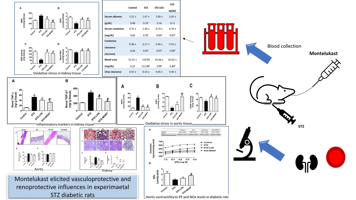 Graphical Abstract