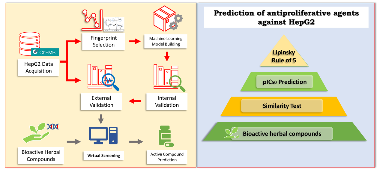 Graphical Abstract