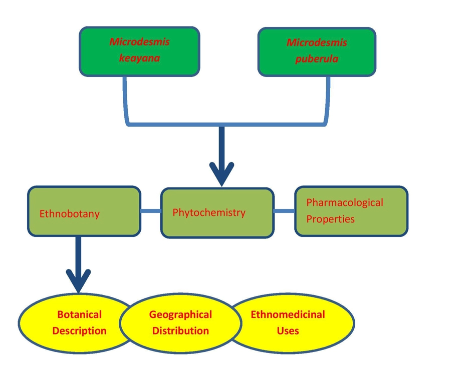 Graphical Abstract