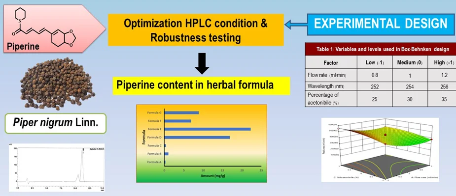 Graphical Abstract