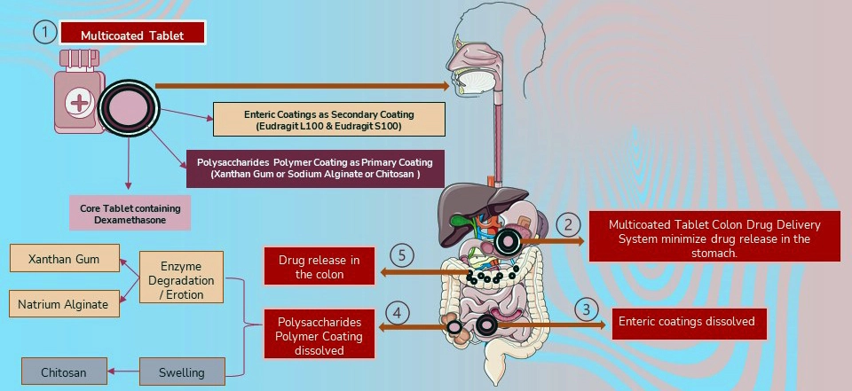 Graphical Abstract