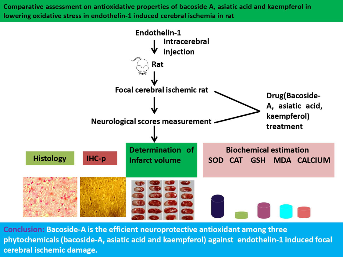 Graphical Abstract
