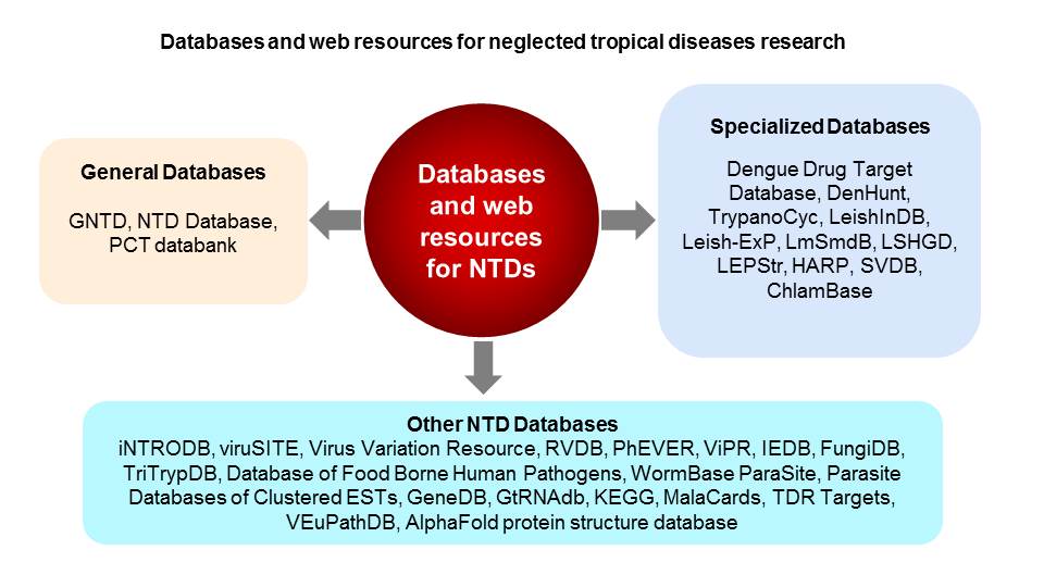 Graphical Abstract