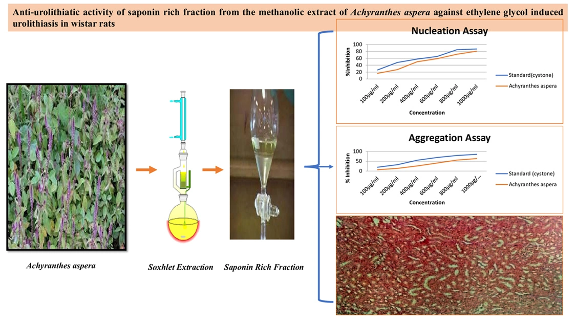 Graphical Abstract