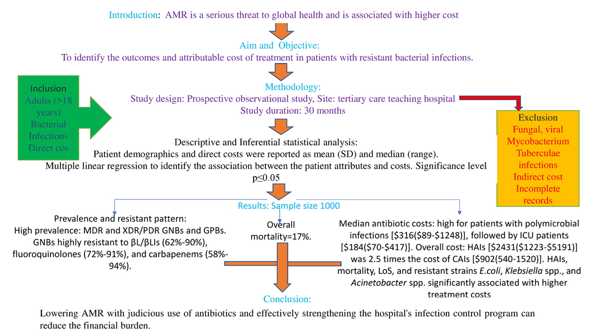 Graphical Abstract