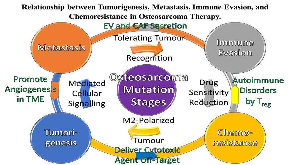 Graphical Abstract