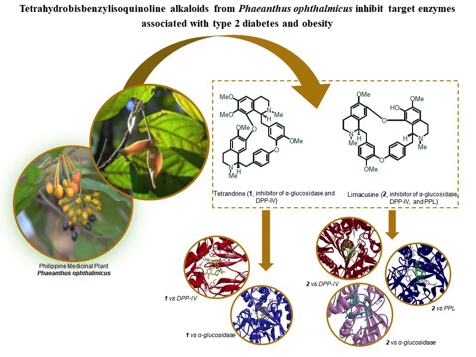 Graphical Abstract