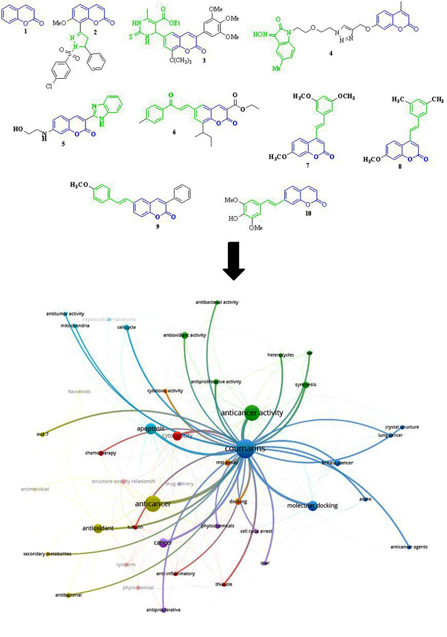 Graphical Abstract