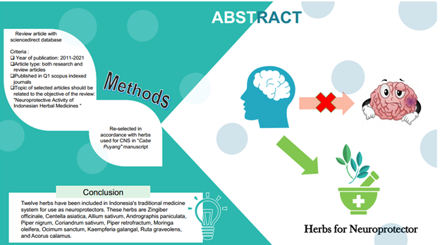Graphical Abstract