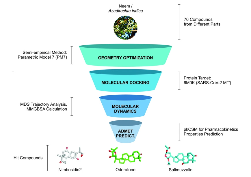 Graphical Abstract