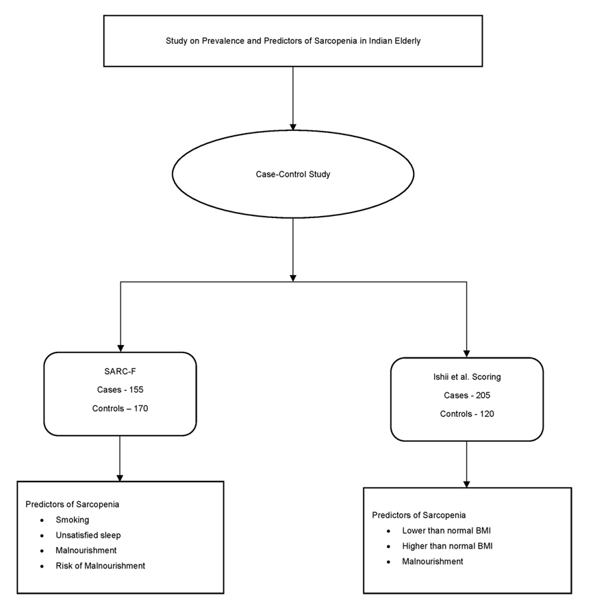 Graphical Abstract
