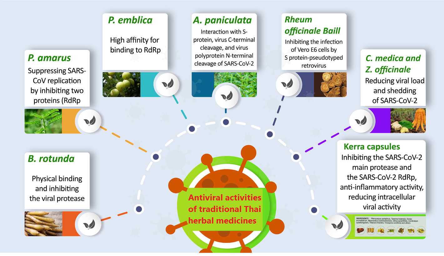 Graphical Abstract