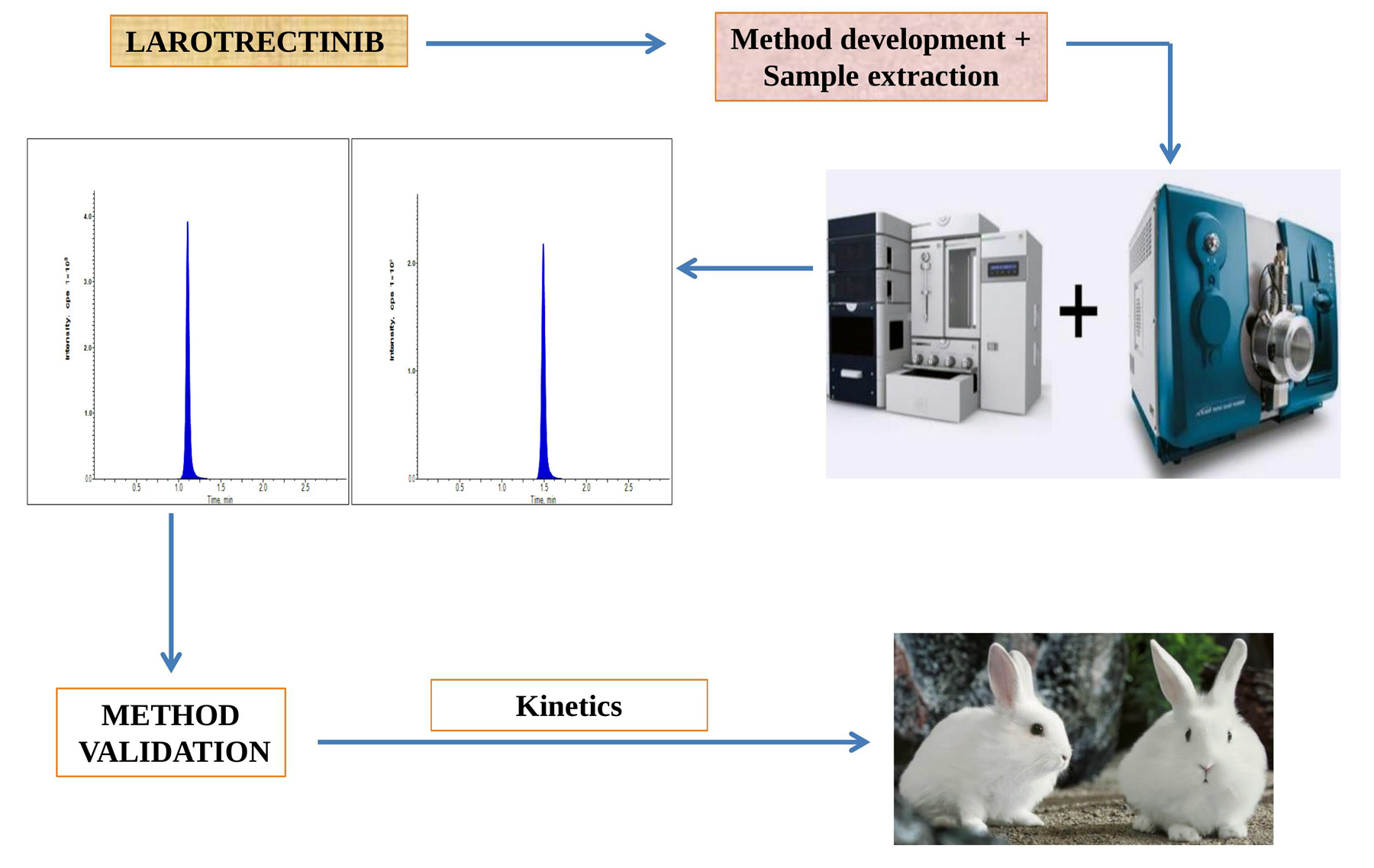 Graphical Abstract
