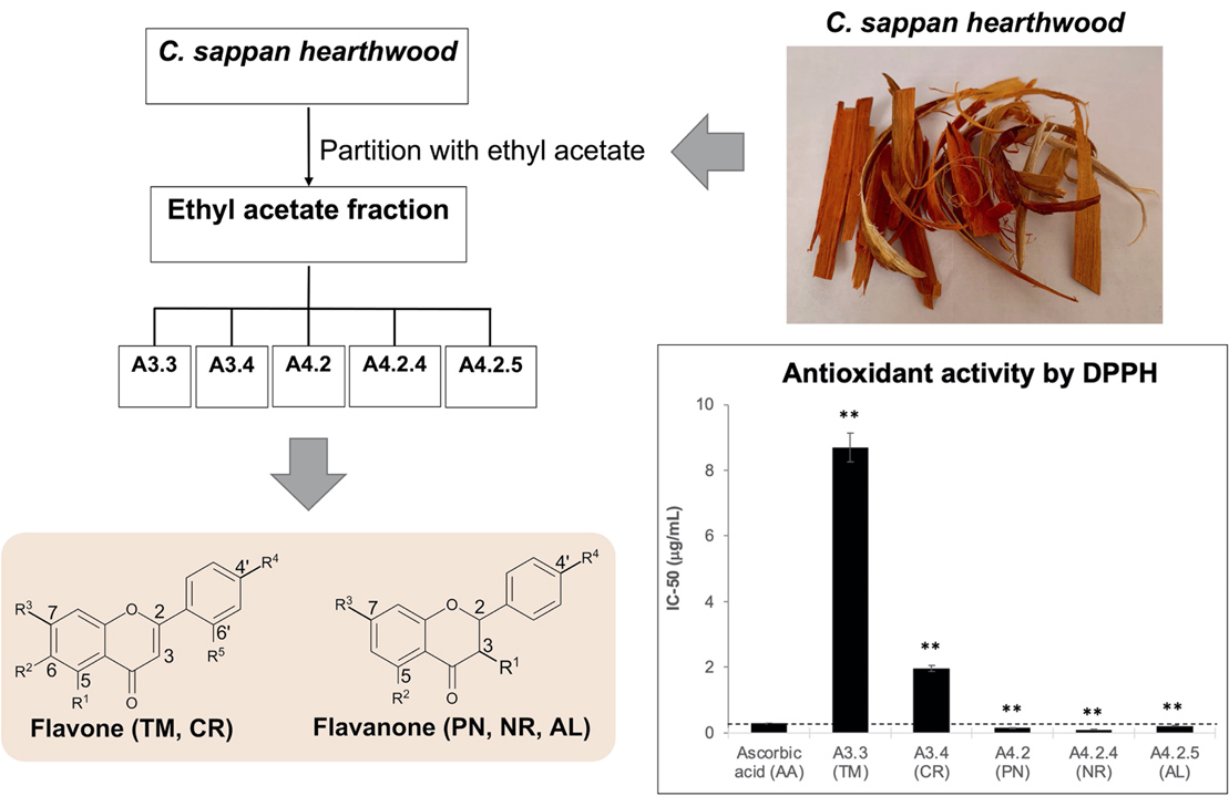 Graphical Abstract