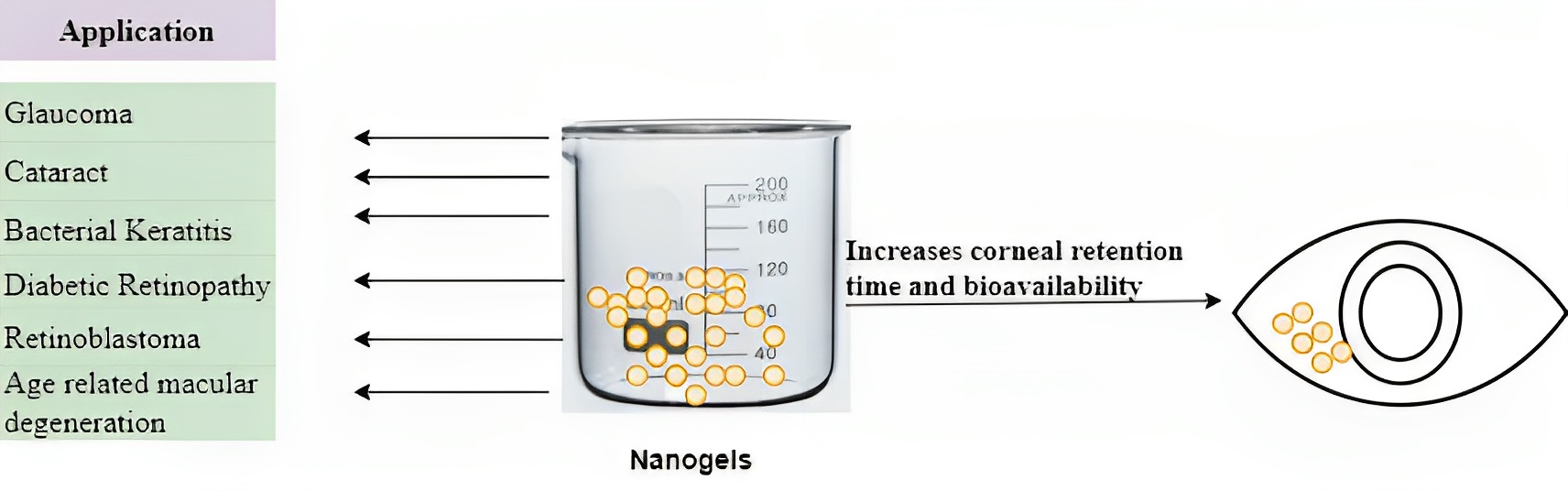 Graphical Abstract
