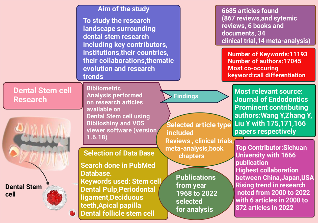 Graphical Abstract