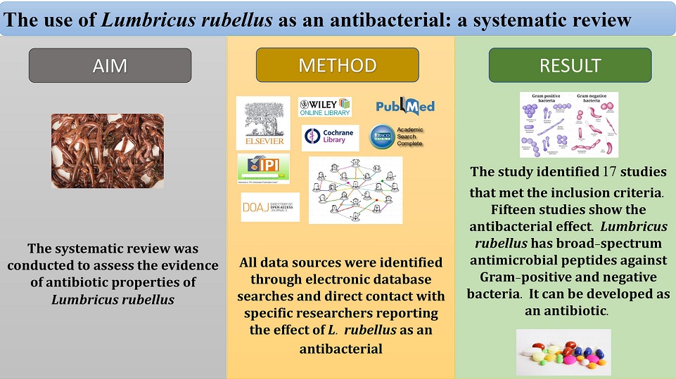 Graphical Abstract