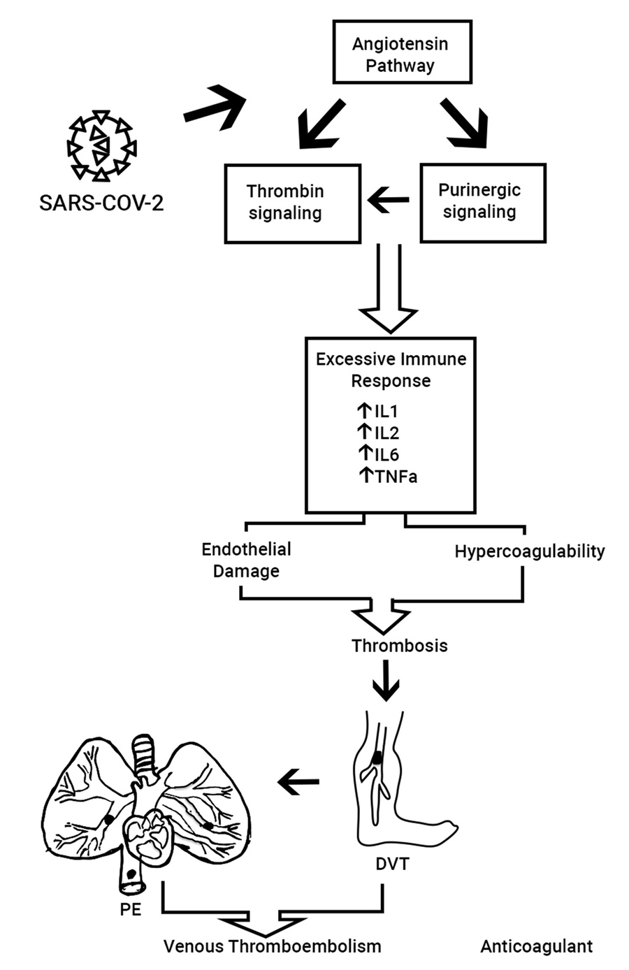 Graphical Abstract
