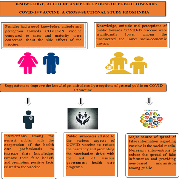 Graphical Abstract