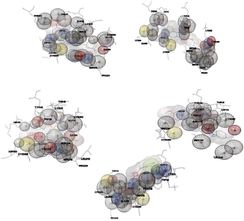 Graphical Abstract
