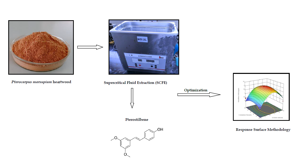 Graphical Abstract