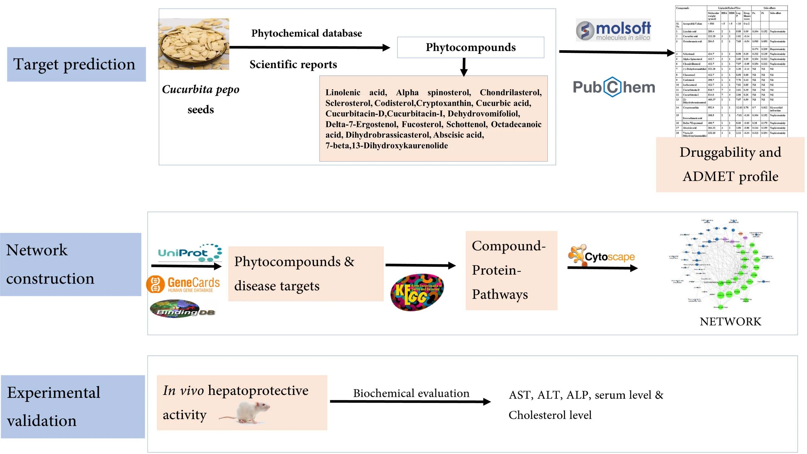 Graphical Abstract