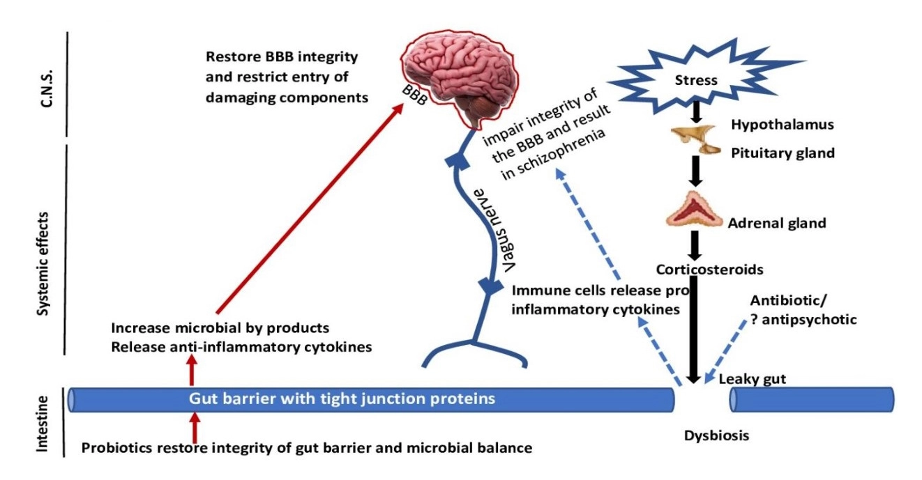 Graphical Abstract