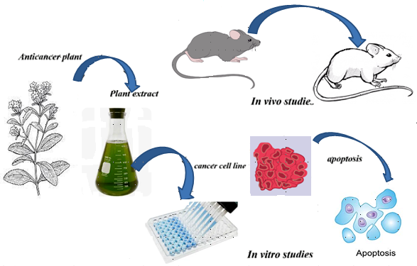 Graphical Abstract