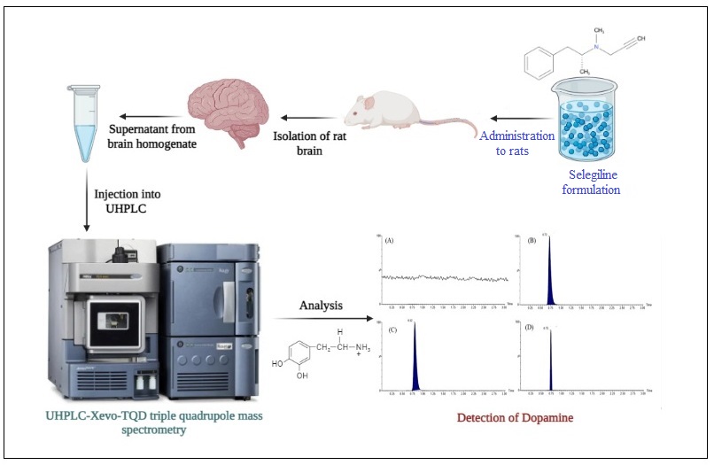 Graphical Abstract