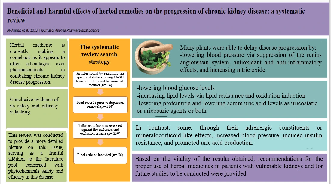 Graphical Abstract
