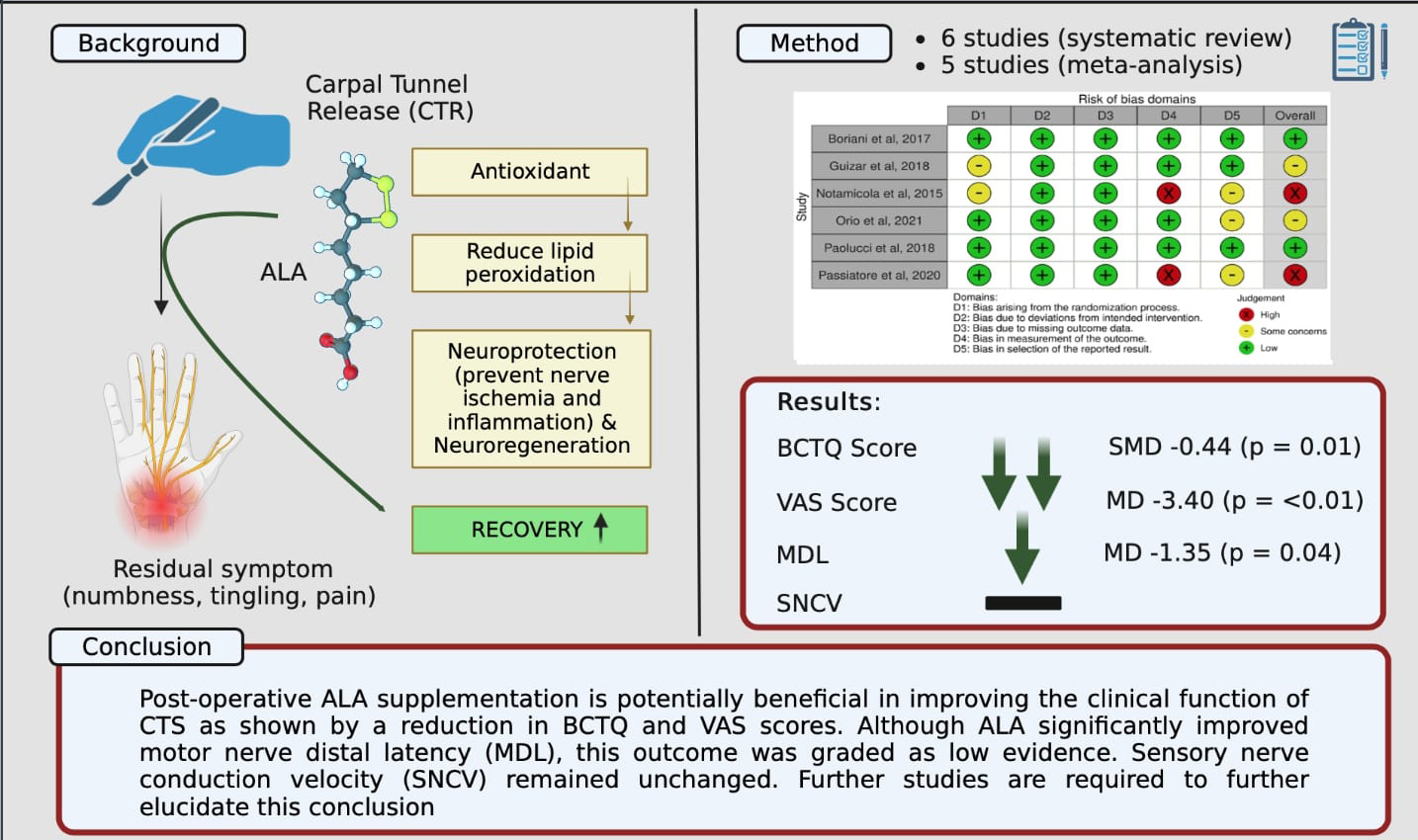 Graphical Abstract