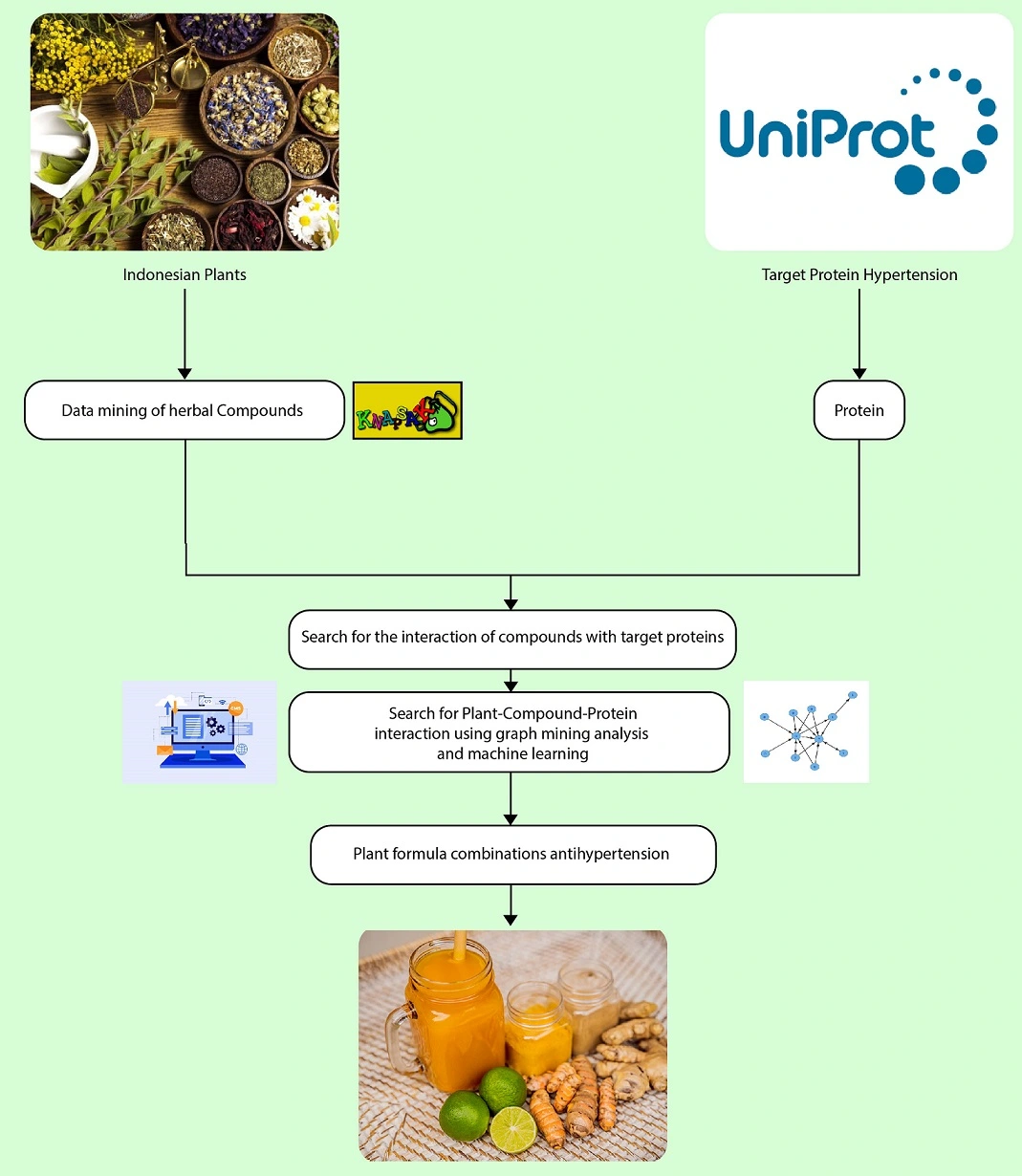 Graphical Abstract