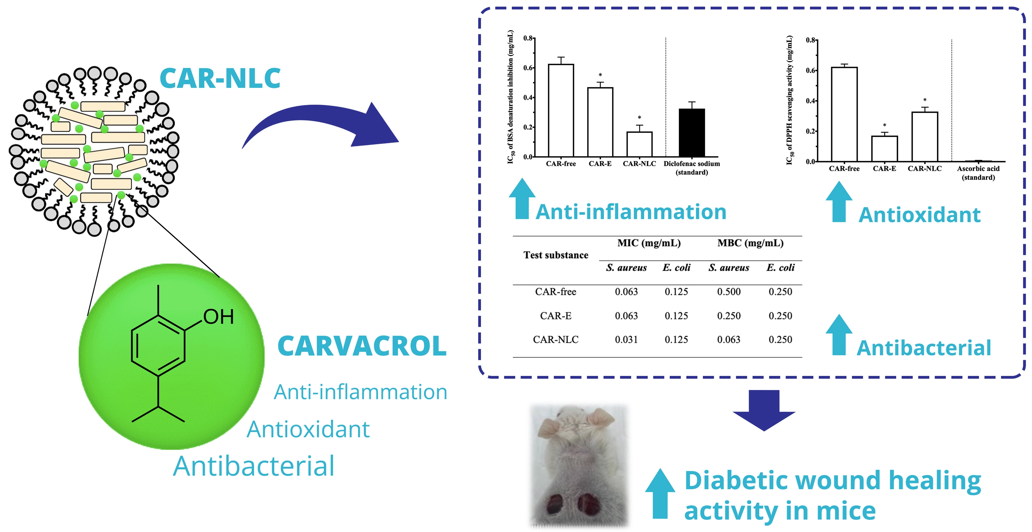 Graphical Abstract