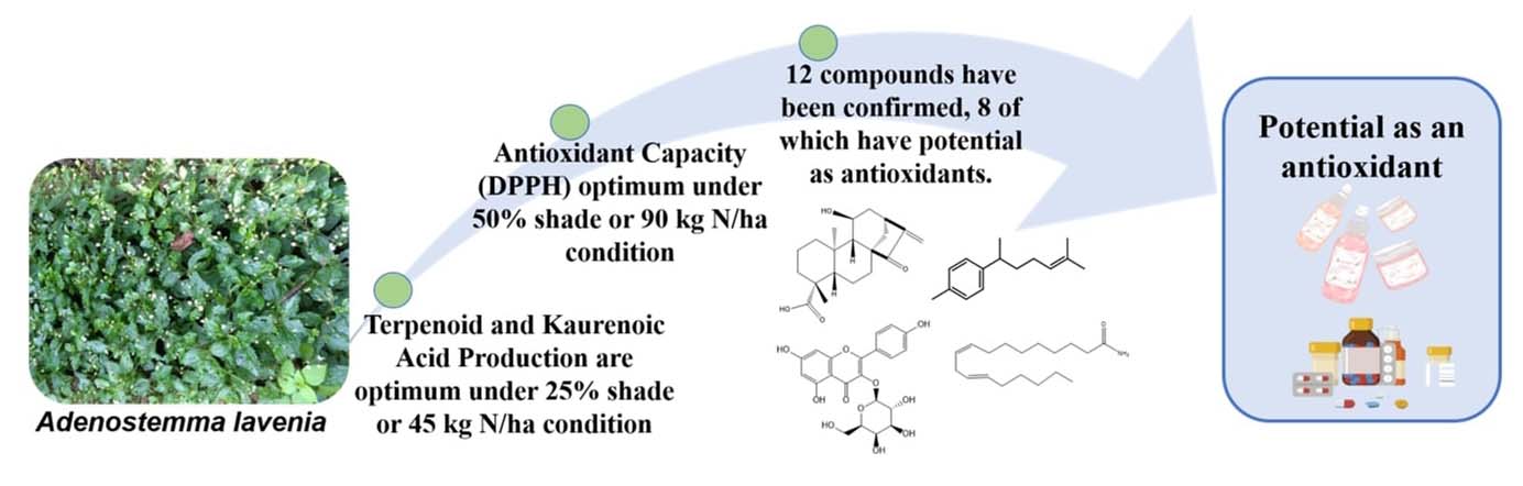 Graphical Abstract