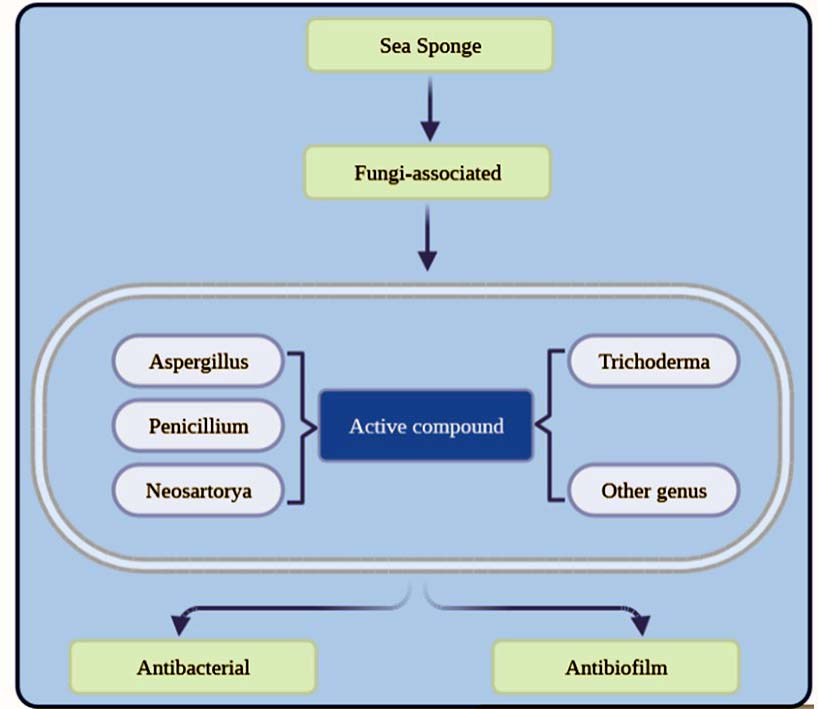 Graphical Abstract