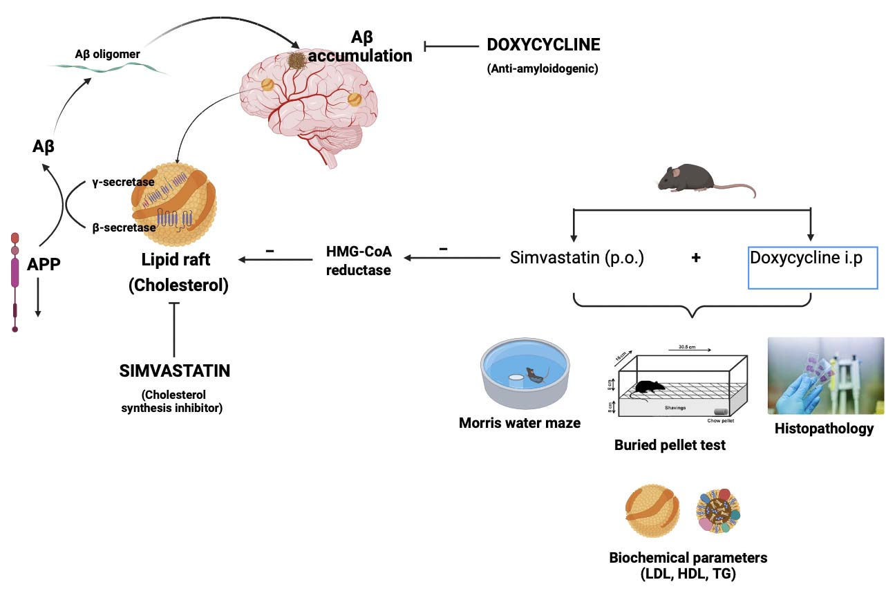 Graphical Abstract