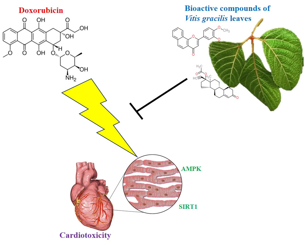 Graphical Abstract