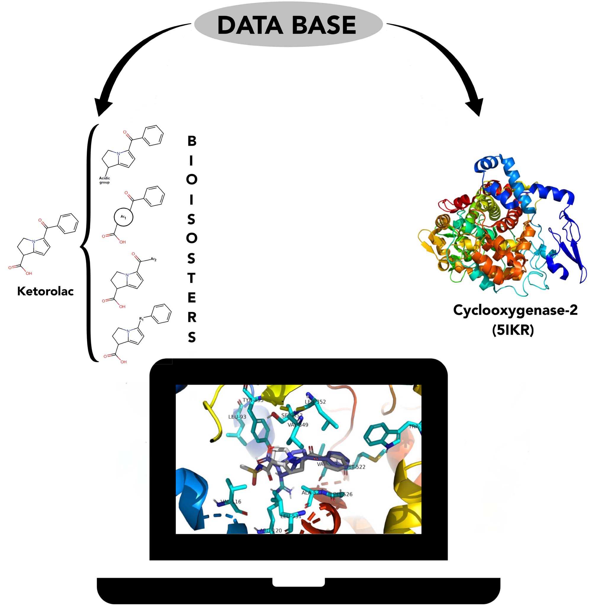 Graphical Abstract