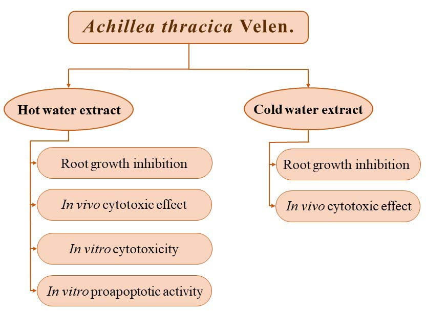 Graphical Abstract