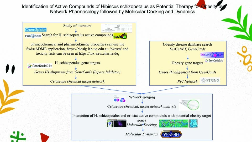 Graphical Abstract