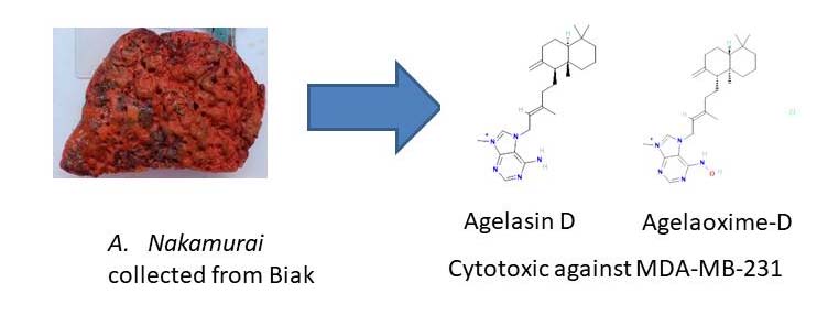 Graphical Abstract