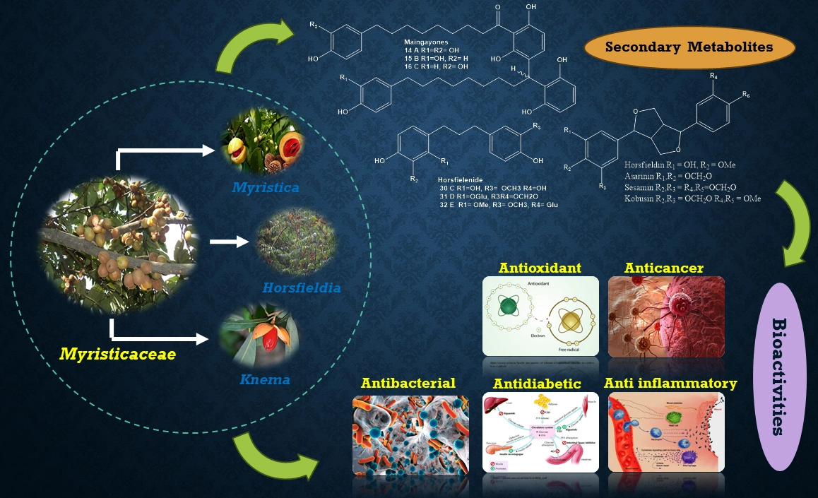 Graphical Abstract