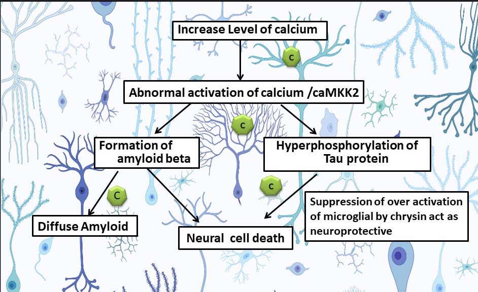 Graphical Abstract