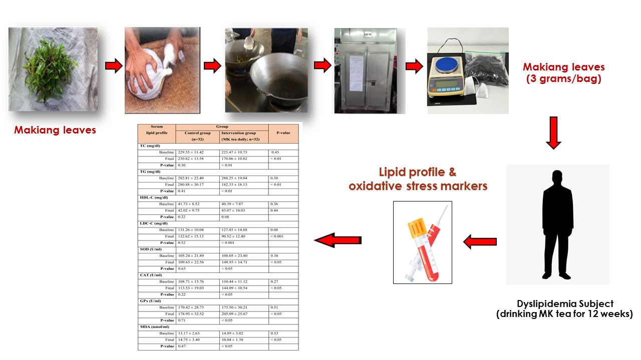 Graphical Abstract